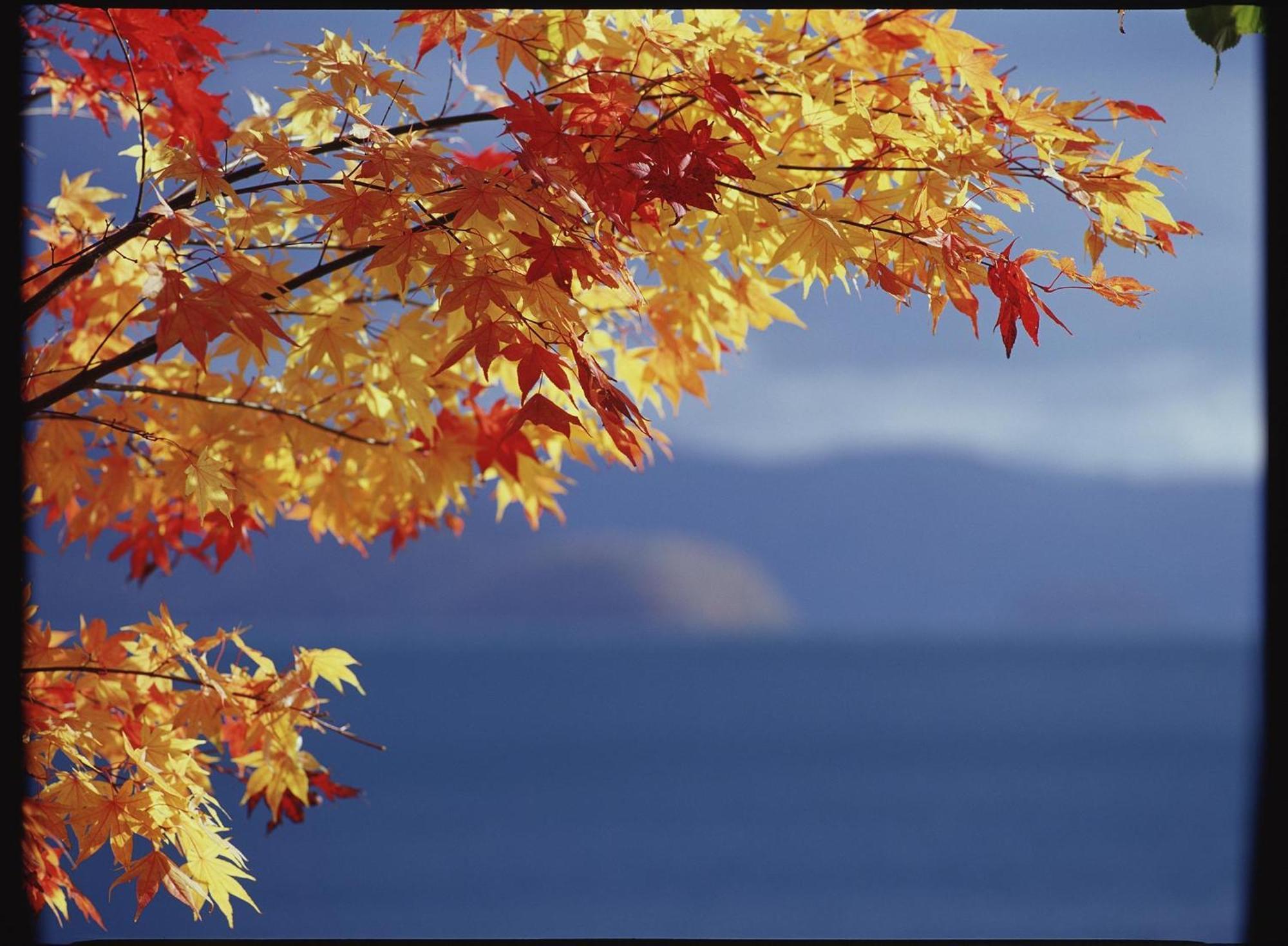 Vignette Collection The Windsor Hotel Toya By Ihg Toyako Екстер'єр фото